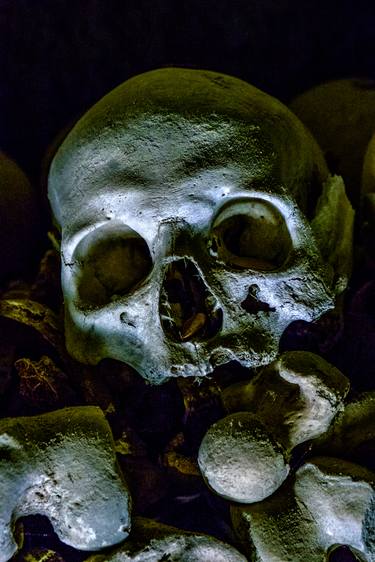 Print of Mortality Photography by David Ridley