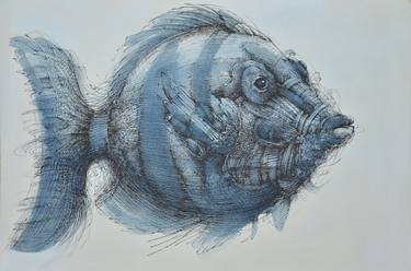 Print of Fish Drawings by Nikola Kosic