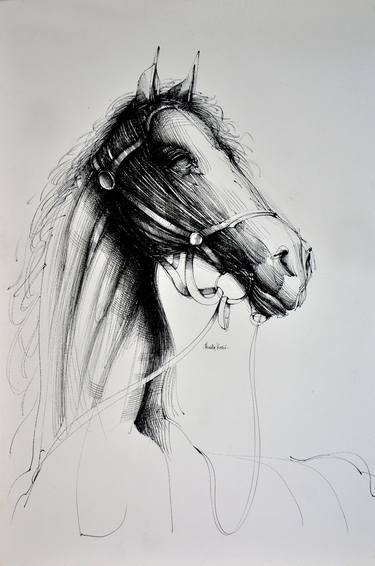 Original Figurative Horse Drawings by Nikola Kosic