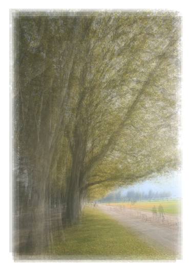 Avenue of Trees in Annecy thumb