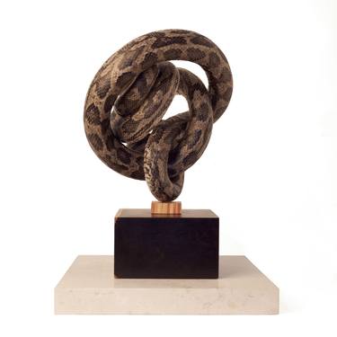 Original Figurative Animal Sculpture by Other Criteria Ltd