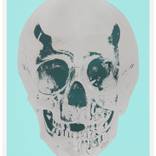 Till Death Do Us Part — Heavenly Peppermint Green Silver Gloss Racing Green - Damien Hirst by Other Criteria Ltd