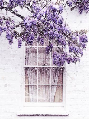 Wisteria Window thumb