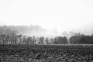 Misty Morning Farmland thumb