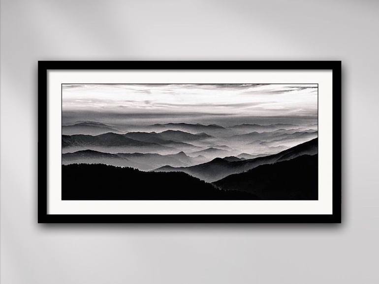 Original Abstract Nature Photography by Susan Maxwell Schmidt