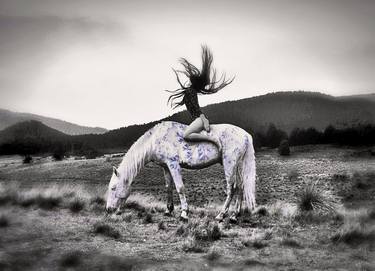 Print of Horse Photography by Susan Maxwell Schmidt