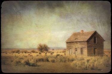 Print of Rural life Photography by Susan Maxwell Schmidt
