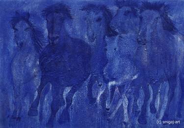 Dülmener wild horses at night - 2014 thumb