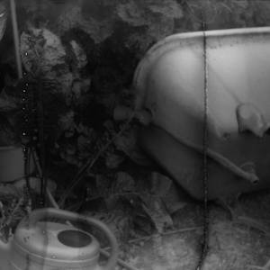 Obscure Happiness VIII. 1/3
