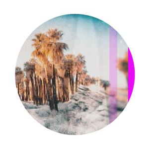 Indian Canyon #2, Palm Tree, Circular