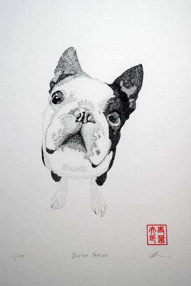 Original Animal Printmaking by Steve Holder