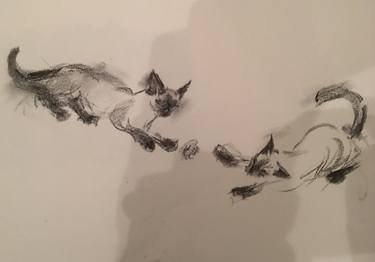 Original Cats Drawing by Katherine  Amour