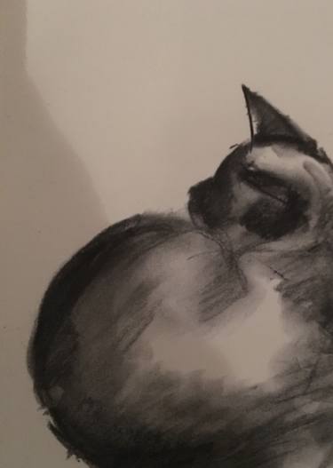 Print of Cats Drawings by Katherine Amour