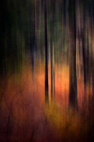 Original Fine Art Abstract Photography by Jan Follby