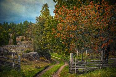 Original Fine Art Nature Photography by Jan Follby