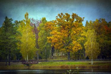 Original Fine Art Landscape Photography by Jan Follby