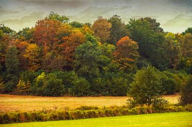 Original Fine Art Landscape Photography by Jan Follby