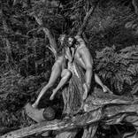 Twin Flame by John Mazlish