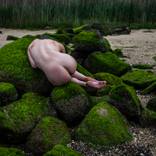 Body Rocks by John Mazlish