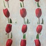 Tulip Turn by Ian Costello