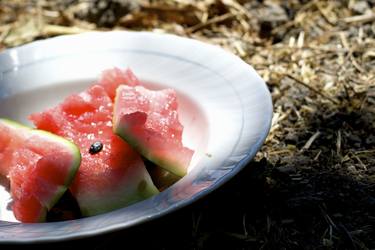Eaten Watermelon Slices thumb