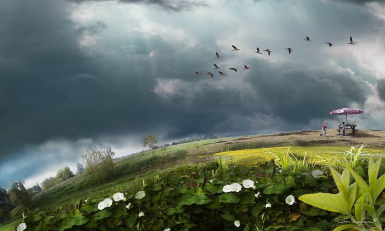 View in a Room Artwork