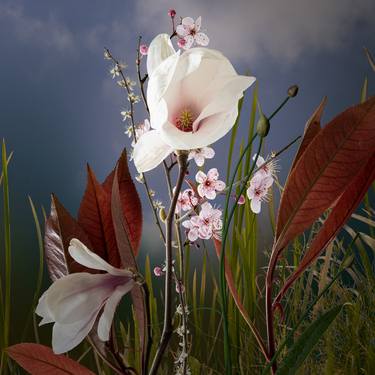 Print of Fine Art Floral Photography by Cas Slagboom