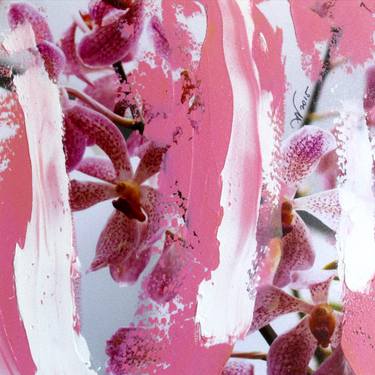 Original Abstract Floral Paintings by Daniela Valentini