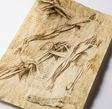 Leonardo da Vinci - Replica of Anatomical drawings, I series thumb