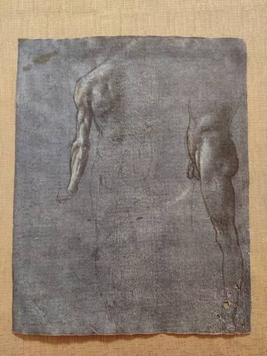 Leonardo da Vinci - Replica of Anatomical drawings, series II thumb