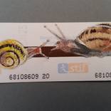 Collection Wandering tickets