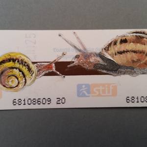 Collection Wandering tickets
