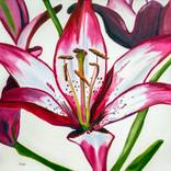 Stargazer by Teresa Bristol