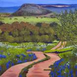 Springtime Reverie – Texas Hill Country and the Edwards Plateau by Teresa Bristol