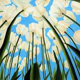 Looking Up by Teresa Bristol