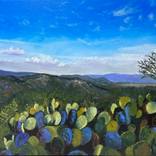 The Long View: Texas Hill Country by Teresa Bristol