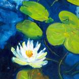 Moonlight Lily by Teresa Bristol