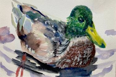 Duck bird watercolor paper gift impressionism Art, animal, illustration, , interior, wall art, gift, nursery thumb