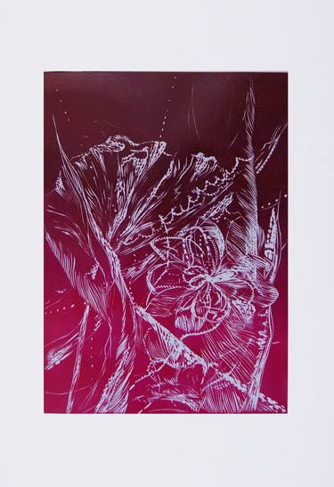 Original Expressionism Nature Printmaking by Magdalena Chmielek