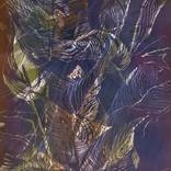 Brown - Limited Edition of 1 by Magdalena Chmielek