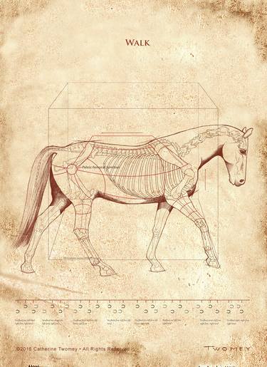 The Horse's Walk Revealed, Canvas Print thumb