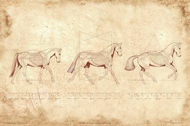 Original Horse Paintings by Catherine Twomey