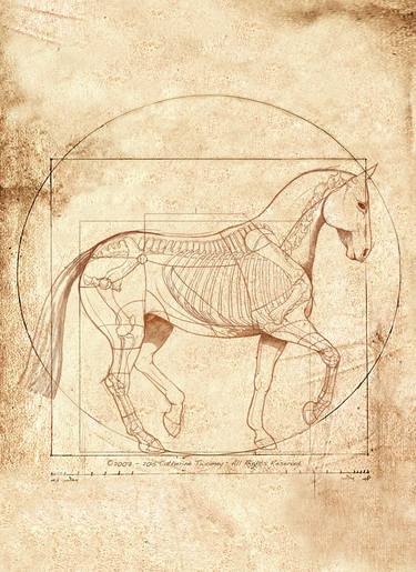 Print of Horse Paintings by Catherine Twomey