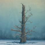 'sage' (after Friedrich) by Tom Down
