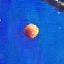 Blue blood moon on a rainy night.  The image displayed is lighted.

I like acrylics for the versatility of adding layers of color and the spontaneity I get because of the quick drying time.