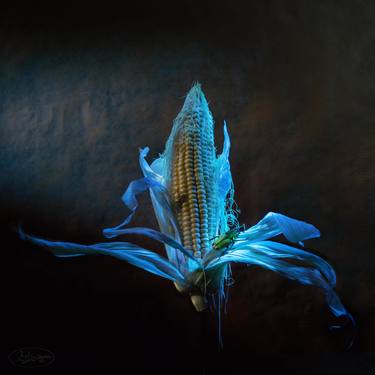 Original Still Life Photography by Margot van de Stolpe