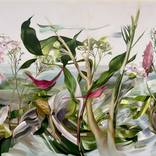 Collection LANDSCAPES