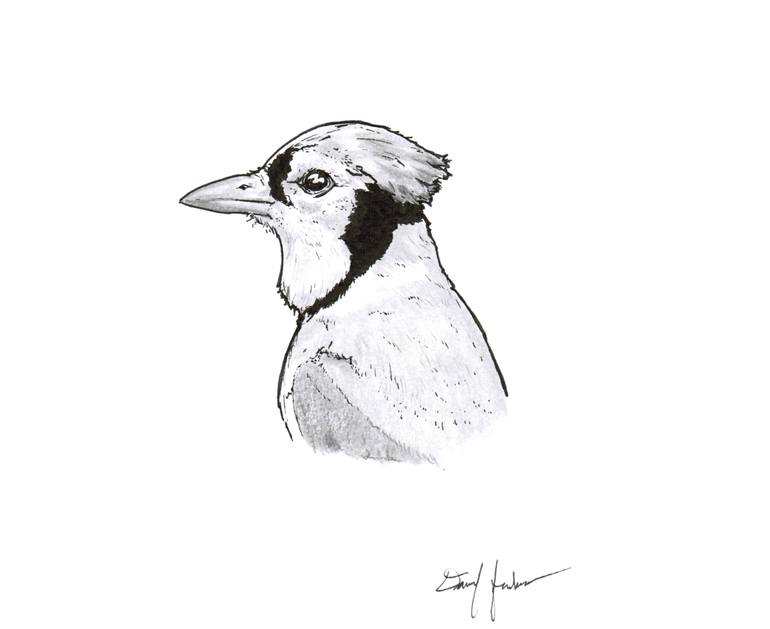 BLACK AND WHITE BLUE JAY Art Print