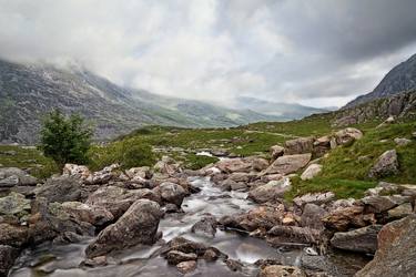 Mountain Mist thumb