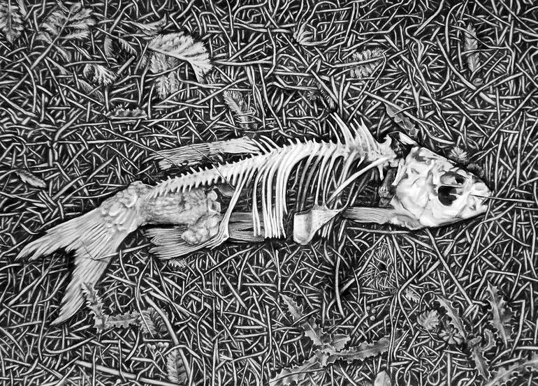 Dead Fish Drawing